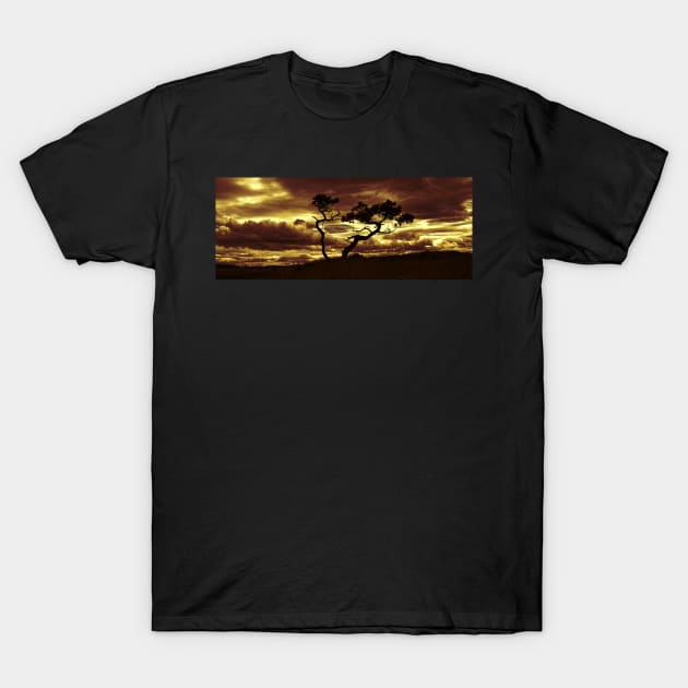 Tree Dance 3(Sepia-Gold) T-Shirt by dhphotography